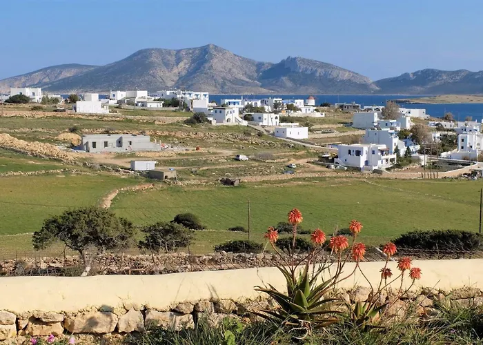 Alkionides 3* קופוניסיה