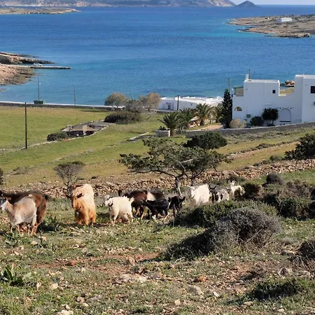 Alkionides Koufonisia